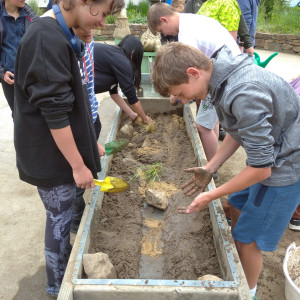 Baliny - voda a život v ní