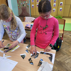 Projekt Les - 1. stupeň