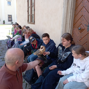 Výcvik dravců
