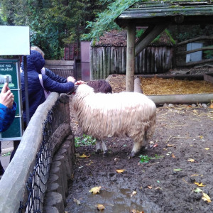 Exkurze ZOO JIhlava