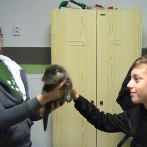 Záchranná stanice zvířat Pavlov